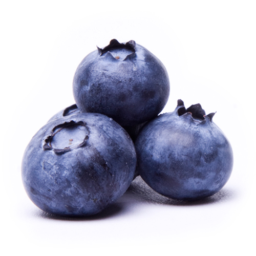 Sauce aux bleuets – Les Petits Fruits de Pres-d'en-haut